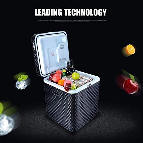 Portable Car Mini Refrigerator - 12V 24V 220V