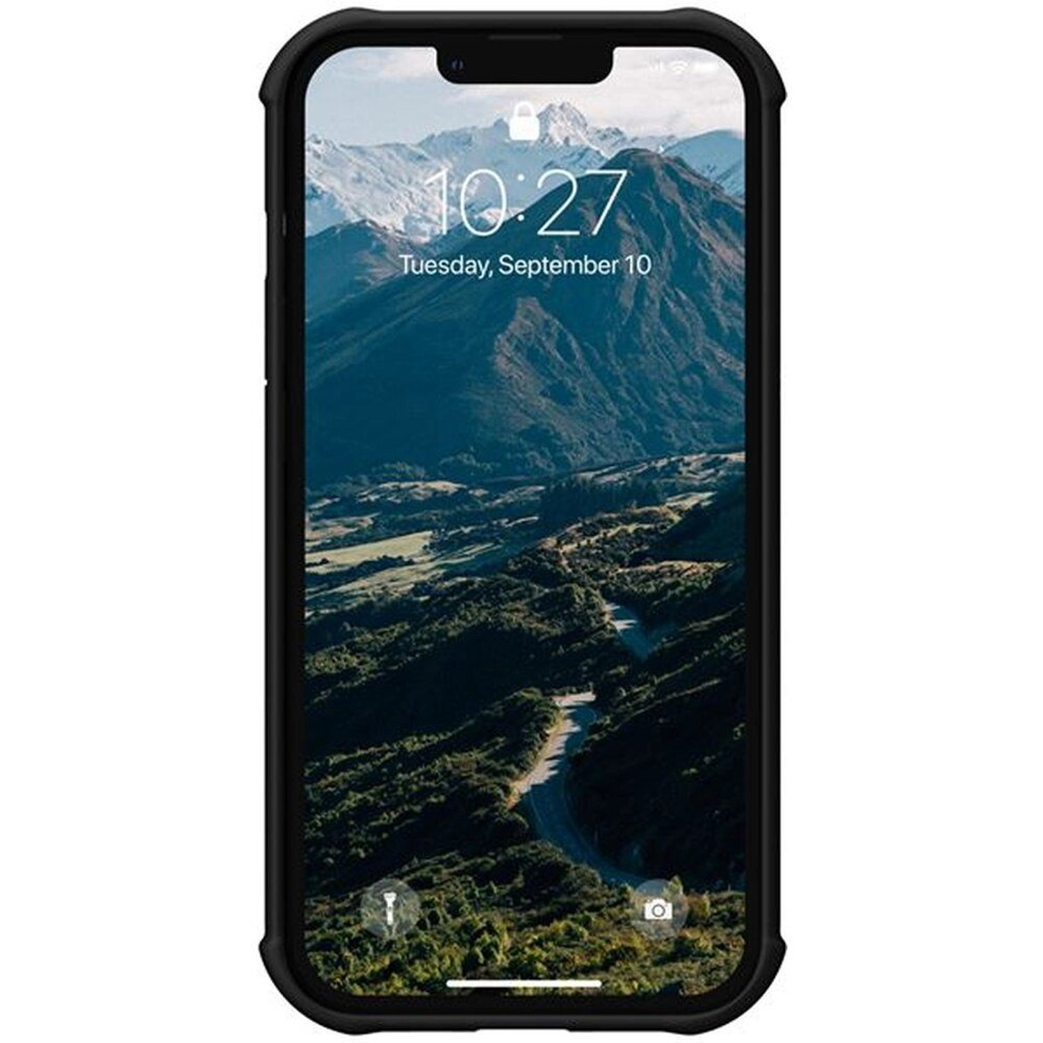 Coconut Monarch Back Case for iPhone 13 Pro