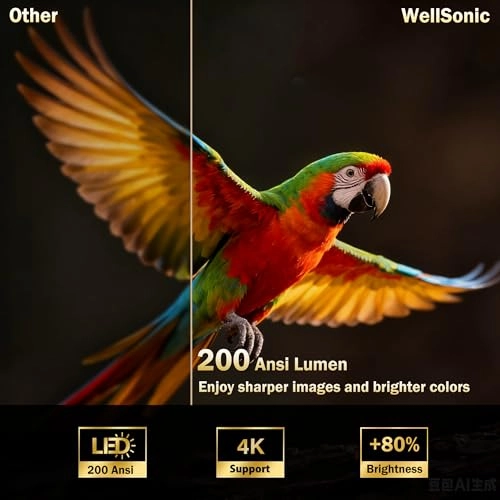 X8MAX 200 ANSI lumens