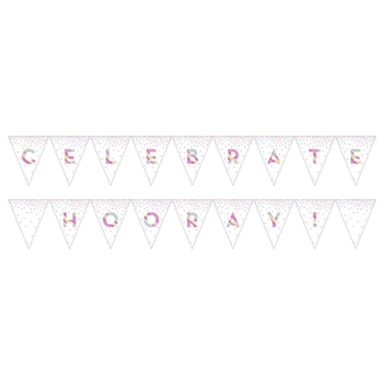 Iridescent Pennant Banner