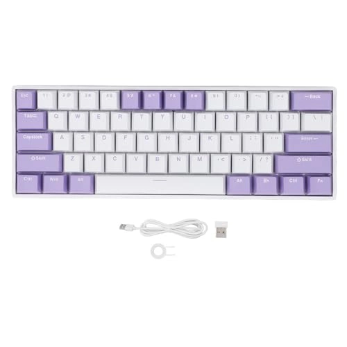 61 Key Mechanical Keyboard - Wired/Wireless