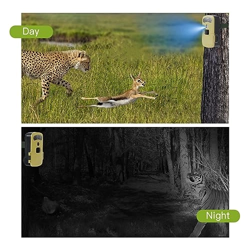 Solar Hunting Rear Camera - 4G 4 megapixel
