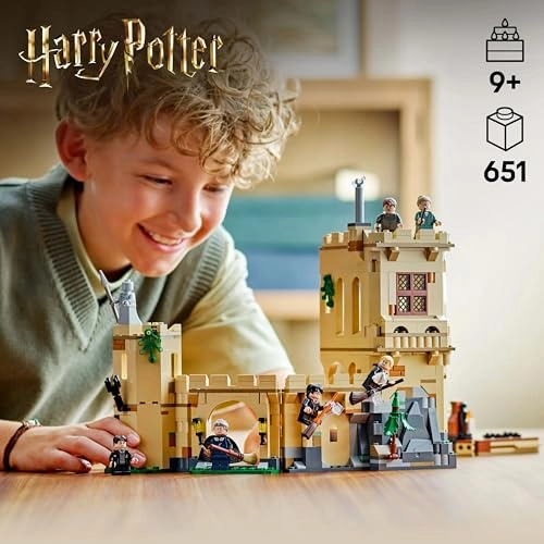 Harry Potter Hogwarts Castle: Flying Lessons