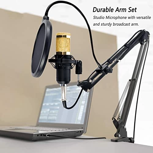 BM800 3.5mm-Mini-Jack Microphone