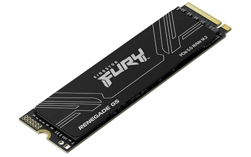 FURY Renegade G5 - 4096 GB M2