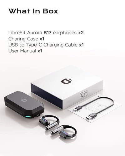 B17 Wireless Headphone