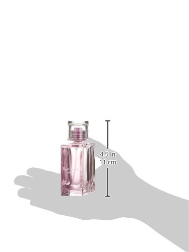 woody^chypre Eau de Parfum 100 ml