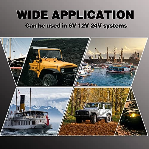 Automotive Test Light - 6-24V