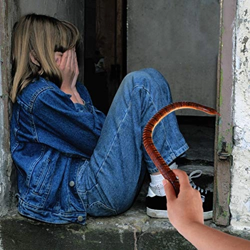 Wood snake - 8 piece(s)