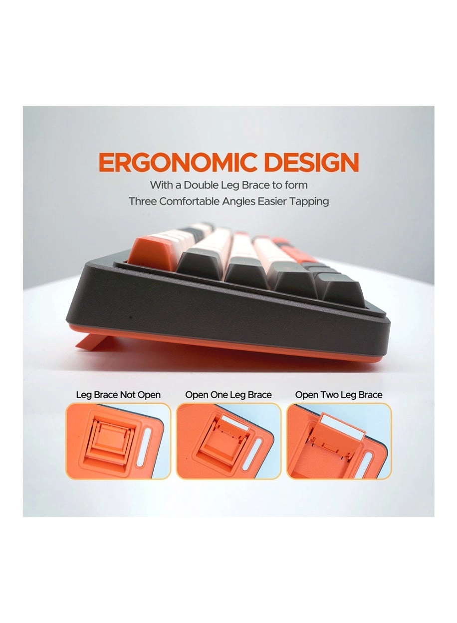 BK-036 - EN/AR Wireless