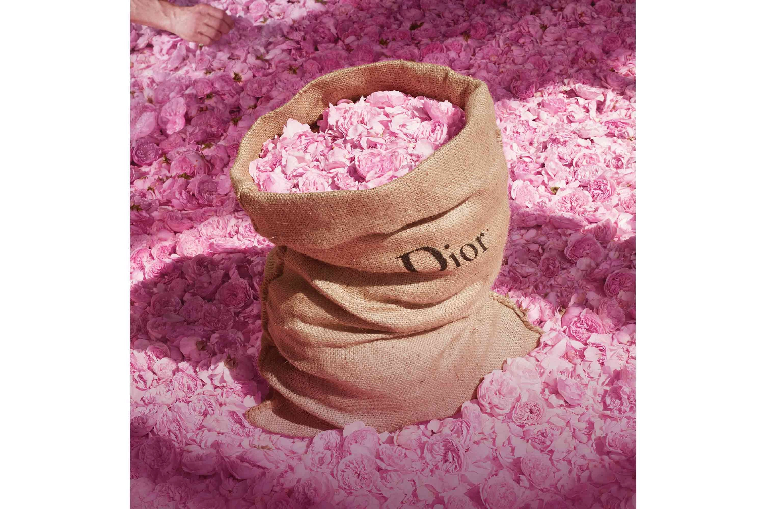 Absolutely Blooming Eau de Parfum 50 ml