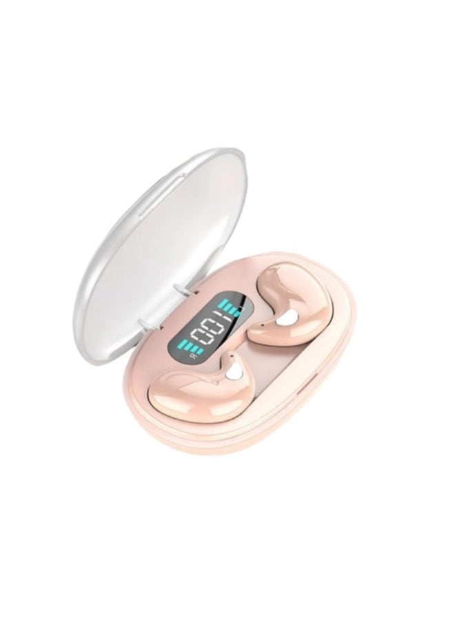 Wireless Bluetooth Earphones
