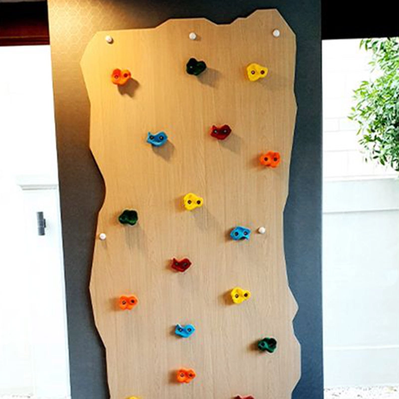 Rock Face Climbing Wall with Monkey Bars - 240 x 120 cm Suitable for 3 to 9 yrs