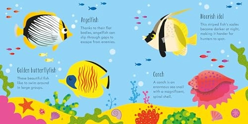 Under the Sea Matching Games and Book