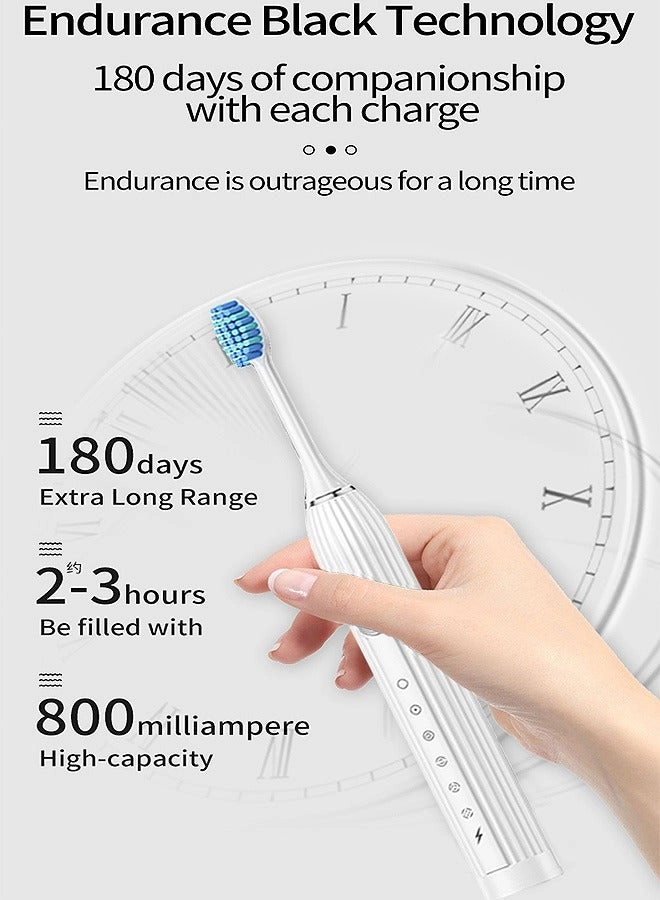 Electric Toothbrush - 10 Brush Heads Travel Case 6 Modes