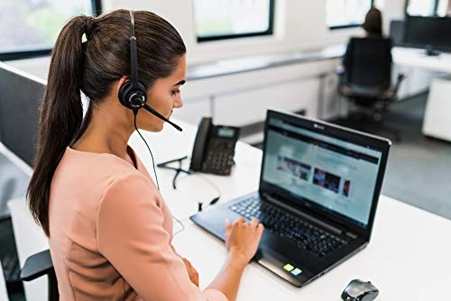 AXH-EHDMSD Wired Headset