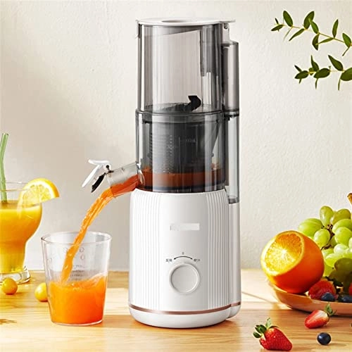 Nama juicer - 200W and below 401mL (inclusive) - 600mL (inclusive)