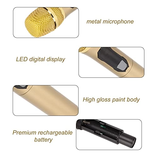 Wireless Microphone - 1