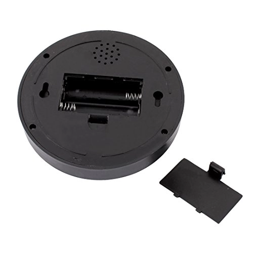 Realistic Looking Security Camera