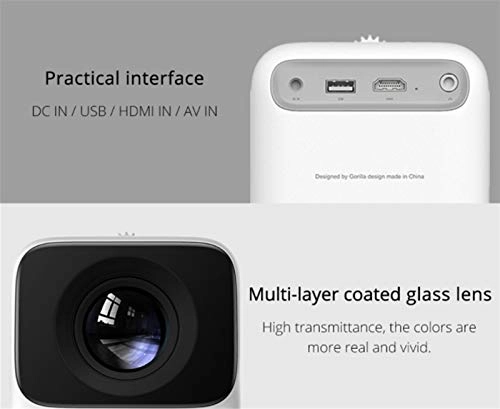 LED video micro projector