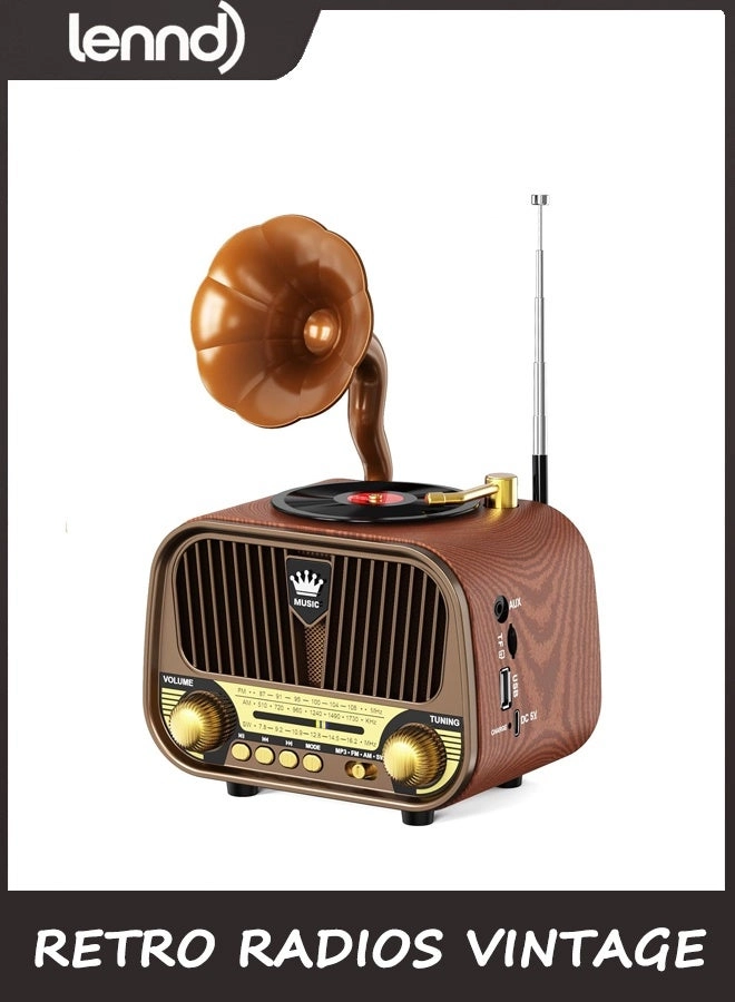 LENND Portable Radio