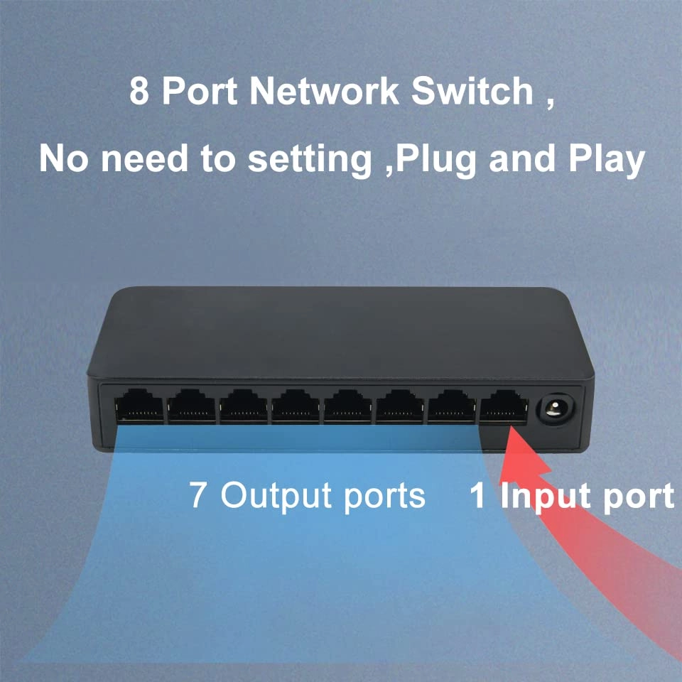 Switch429 8-ports