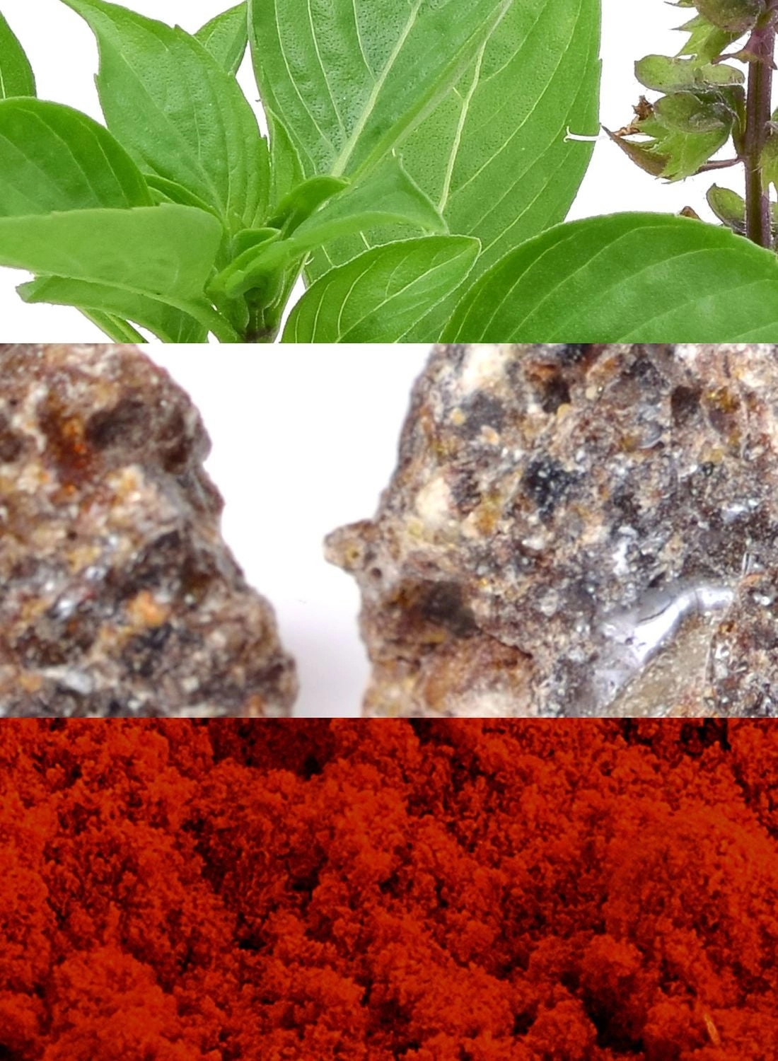 Hot Water Eau de Toilette 110ml