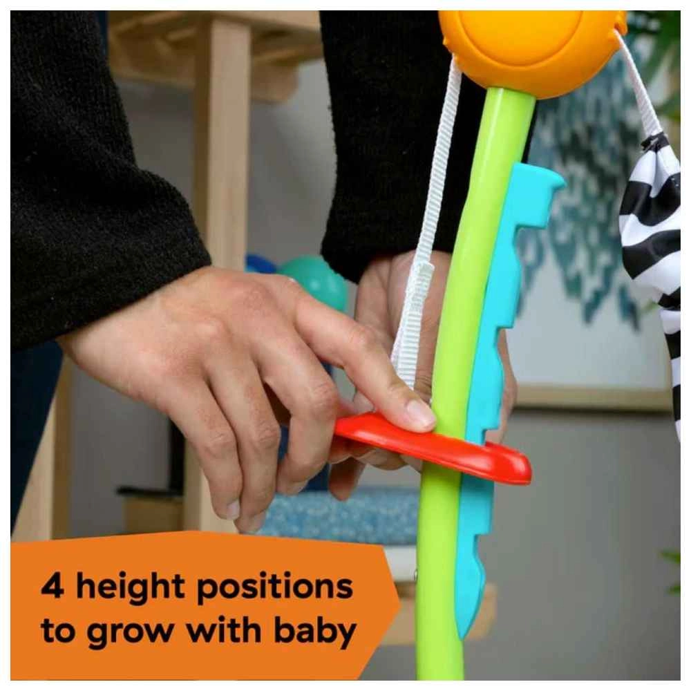 Ocean Explorers Curiosity Cove - 6 months