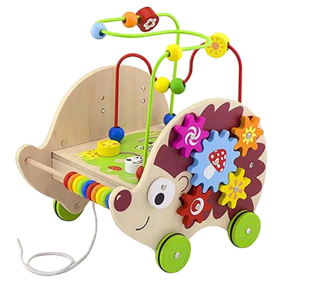 5-in-1 Pull-along Activity Hedgehog