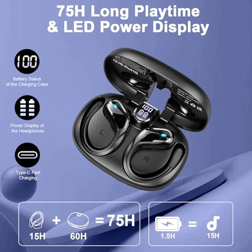 BX29 Wireless Earbud