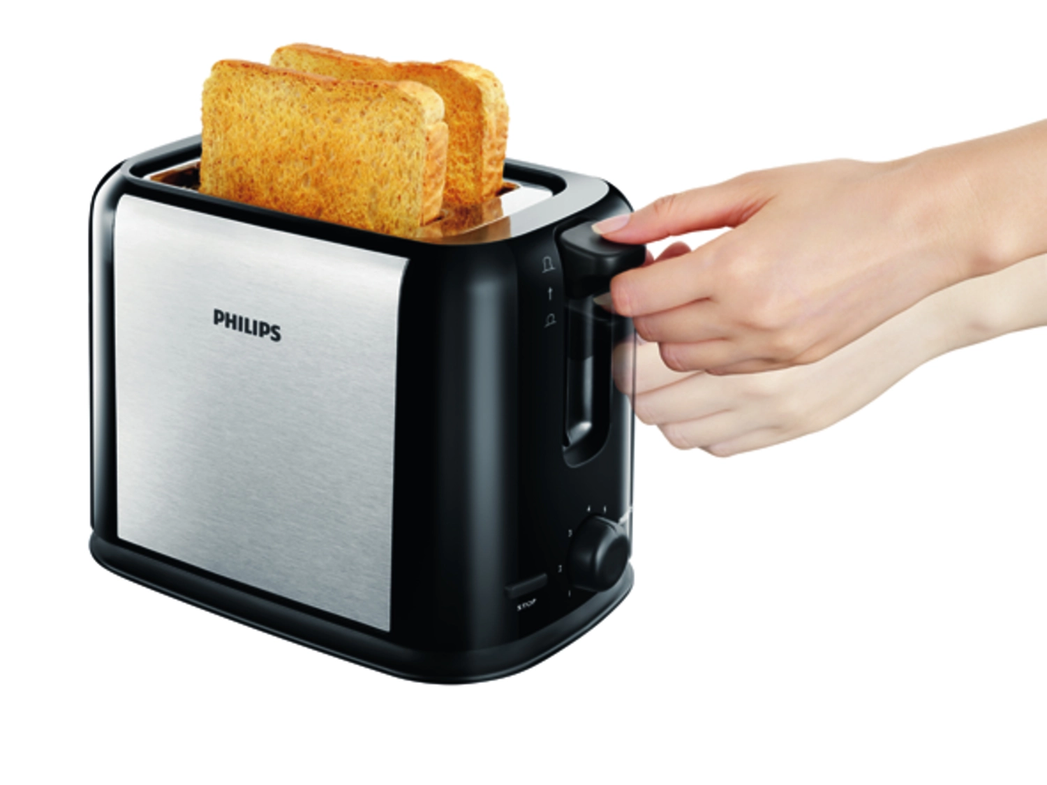 Daily Toaster