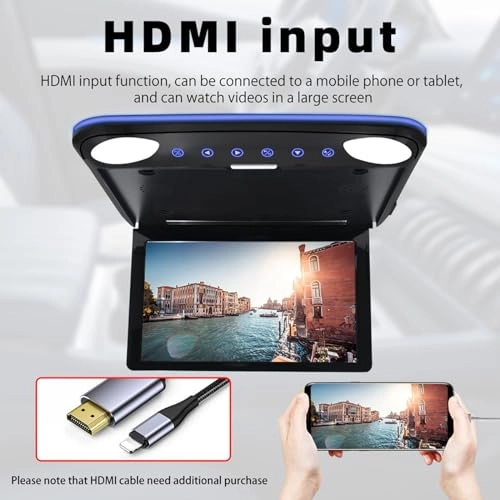 Car ceiling display - 12.1 Inches