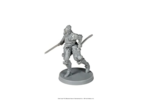 Dark Souls RPG Minis - The Steadfast & The Hollow