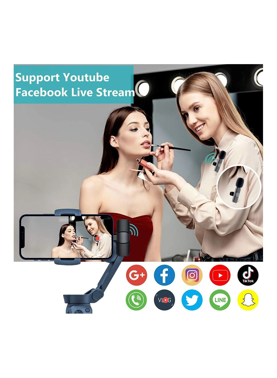 WS-858 Wireless Microphone