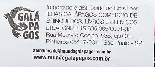 Kamigawa Neon Dynasty Collector Booster