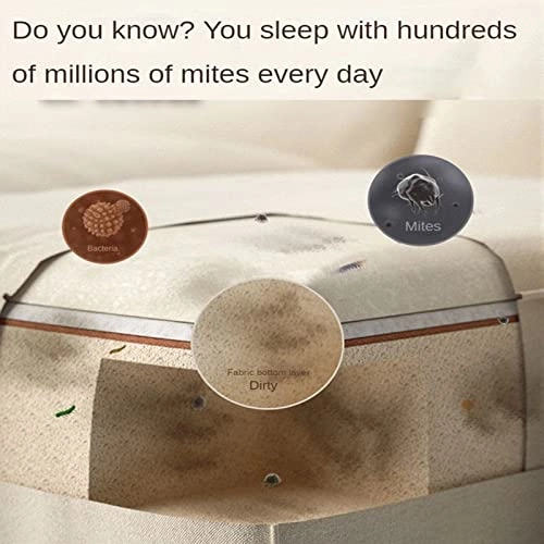 Fabric Sofa Cleaning Machine - spray suction 650W