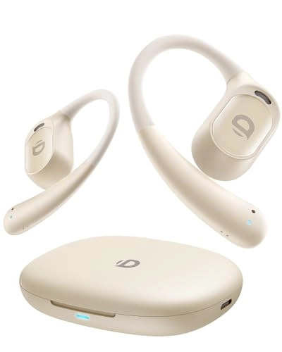 B19 Wireless Earbud