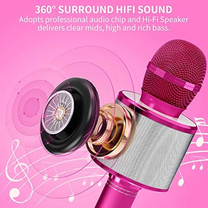 WIRELESS BLUETOOTH MICROPHONE