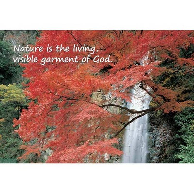 Ajooba Dubai Nature Puzzle (2351)