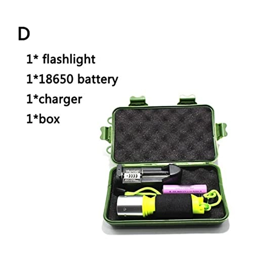 Professional Submersible Light - 5000 lumens 100M 18650/26650