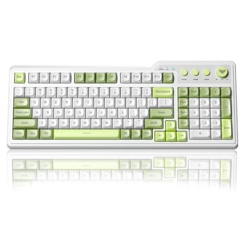 F3099 - Wired/Wireless