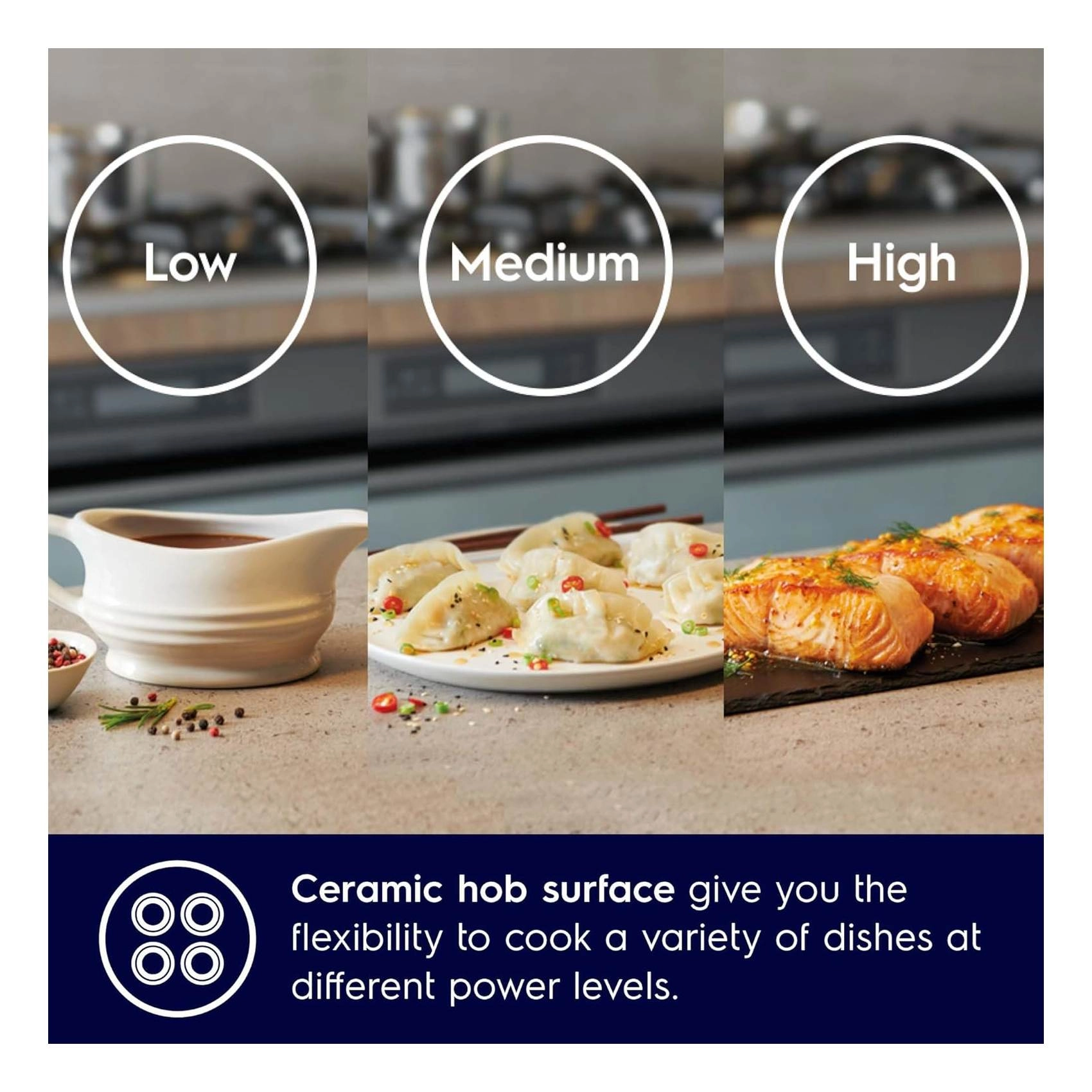 LKR620066 ELECTRIC Cooker