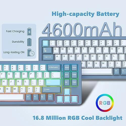 SK71 - Wired/Wireless