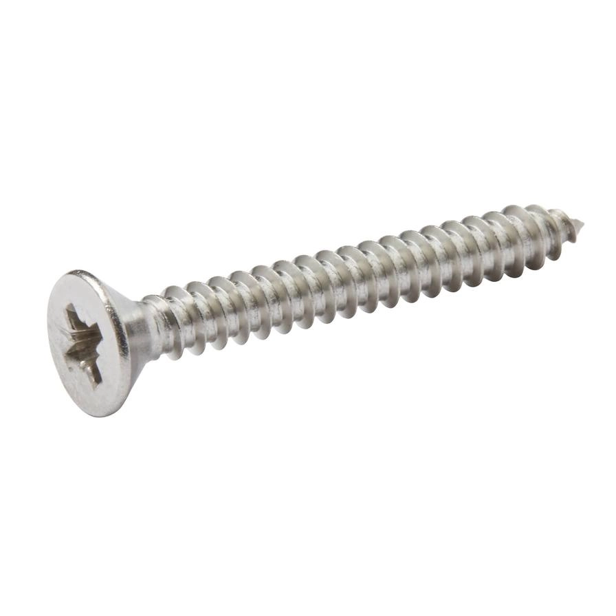 Stainless Steel Self Tapping Screw Pack 4.8mm 38mm