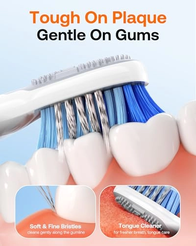 D2 - 40000 movements per minute 8 Replacement Heads 5 Modes