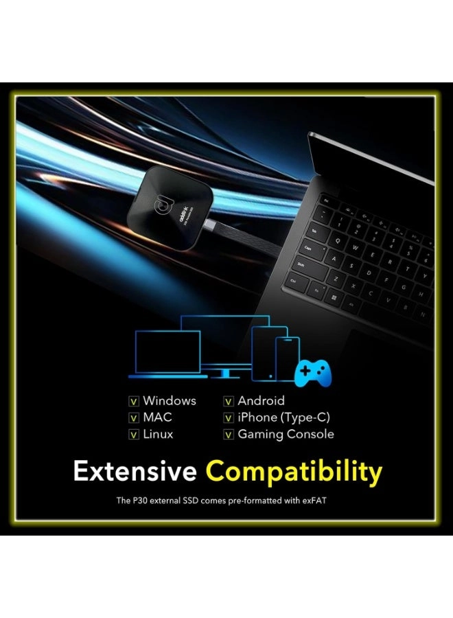 P30 - 1000GB