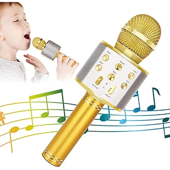 WIRELESS BLUETOOTH MICROPHONE