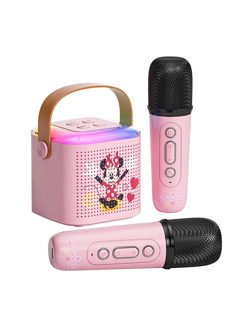 Dual Microphone Sound Package Wireless Microphone