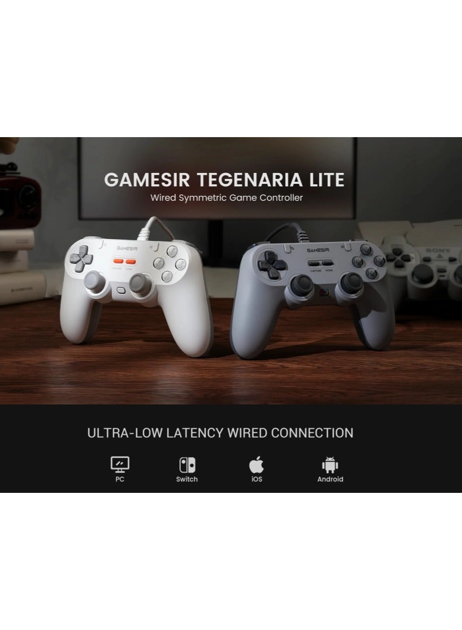 Switch Android iOS PC Steam Tegenaria Lite Grey