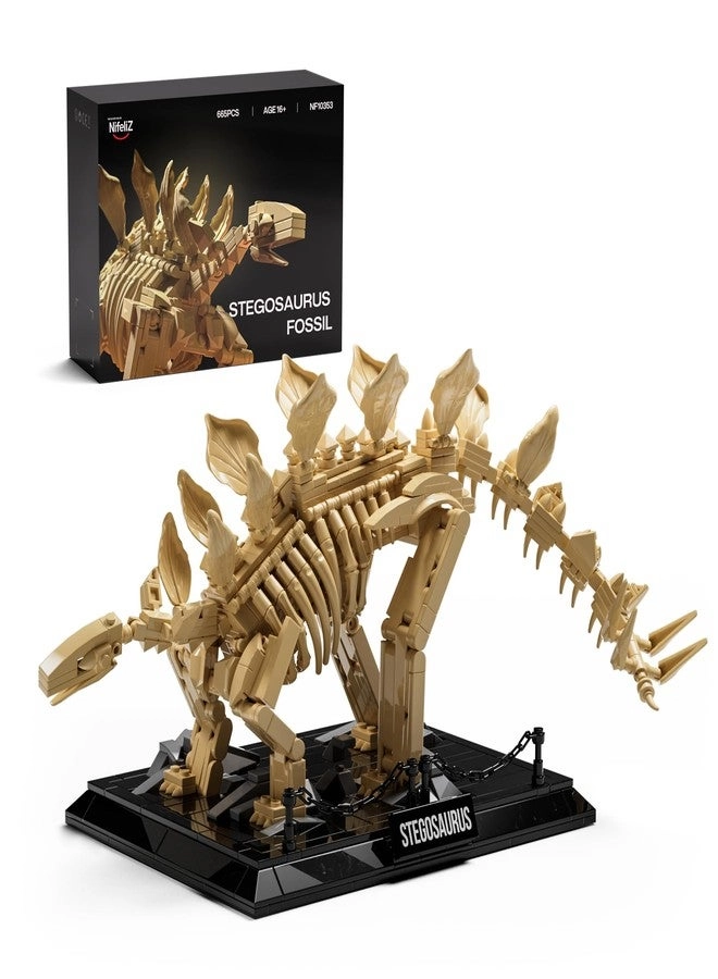 Nifeliz Stegosaurus Fossils Model Set - Dinosaur Skeleton Display Base